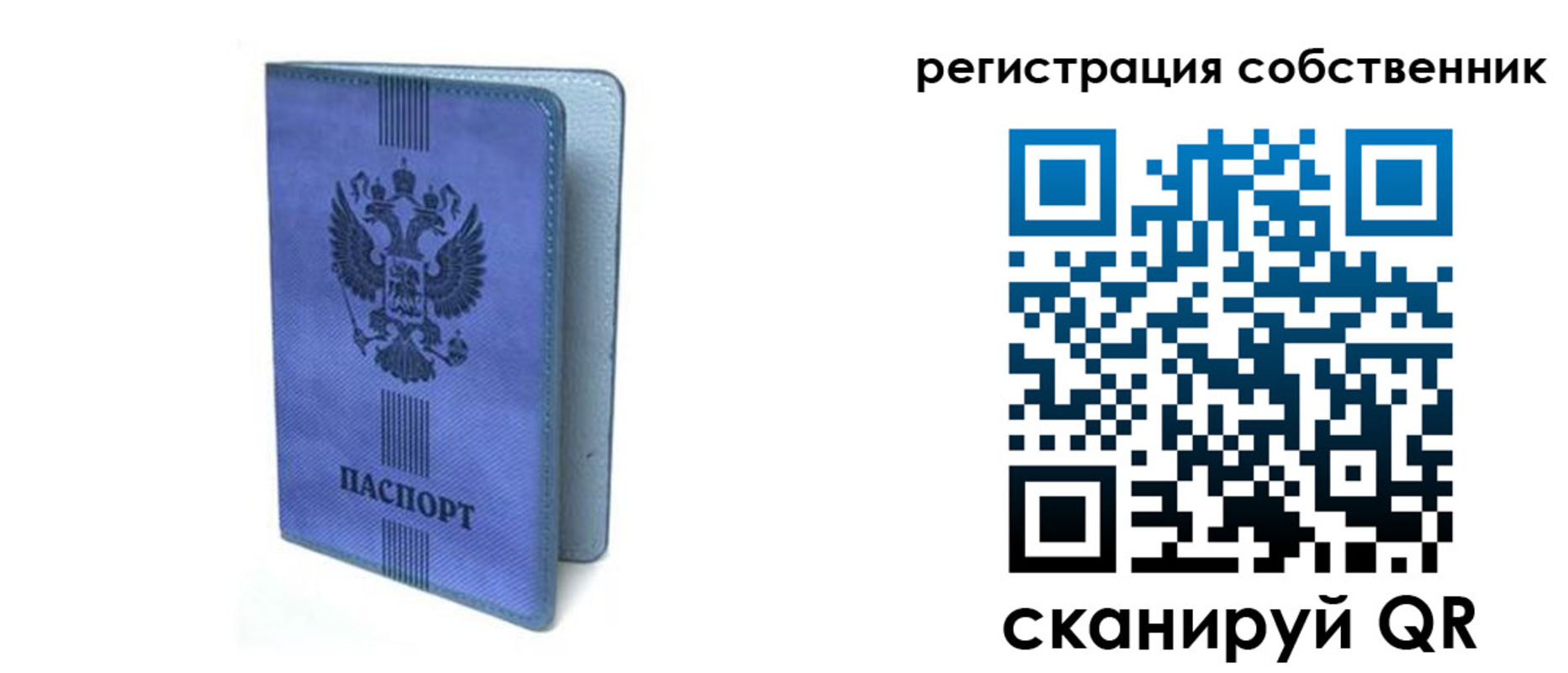 прописка 2025 в Поворино